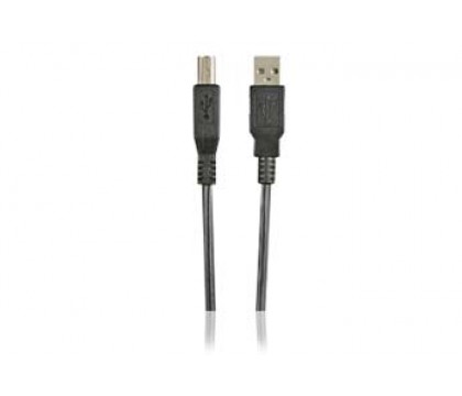RadioShack® 6-Ft. USB-to-USB Black Cable