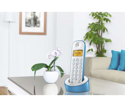 Philips D1201WA/63 Cordless phone, White and Aqua