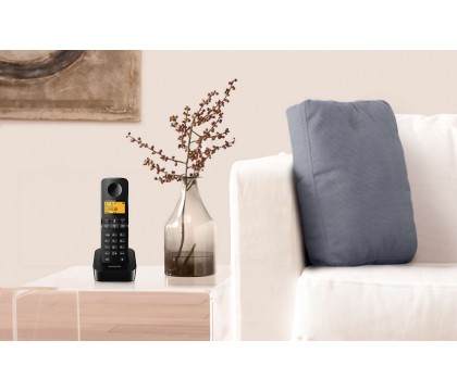 Philips D2101B/63 Cordless phone, Black