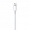 APPLE MD818ZM/A LIGHTINING TO USB CABLE 1M 