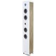 طومسون (DS301) سماعة إستاند مزودة بعدد 2 سماعة داخلية 90 وات + صب ووفر داخلى 90 وات و مزودة بخاصية البلوتوث و بها راديو