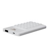 RIVAPOWER VA 2204 portable rechargeable battery 4000MAH 