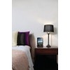 Philips DS1210 iPod/iPhone/iPad Clock display docking speaker